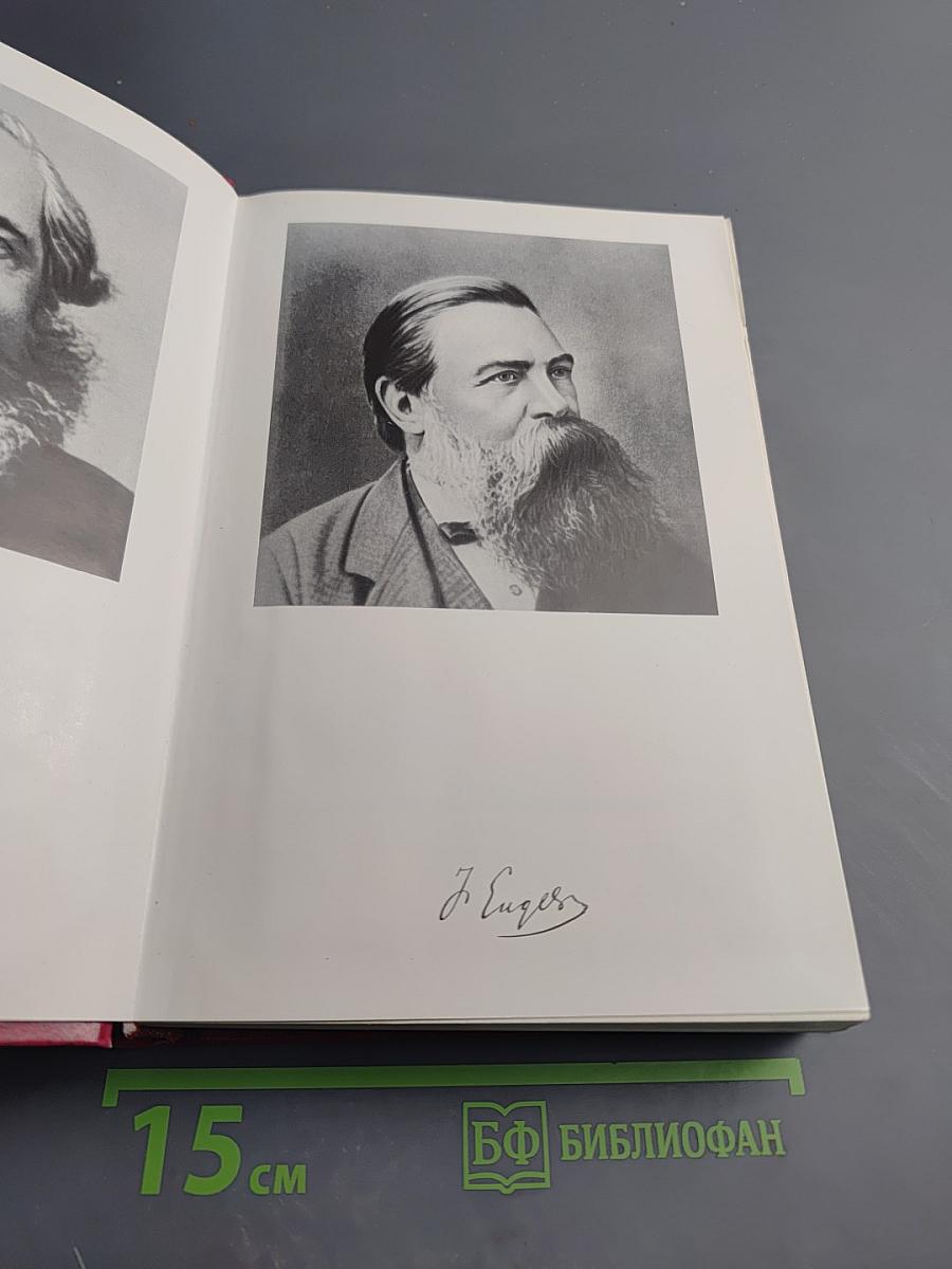 О социалистической революции