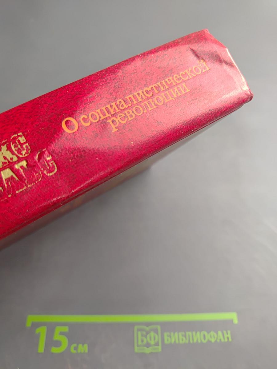 О социалистической революции