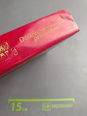 О социалистической революции