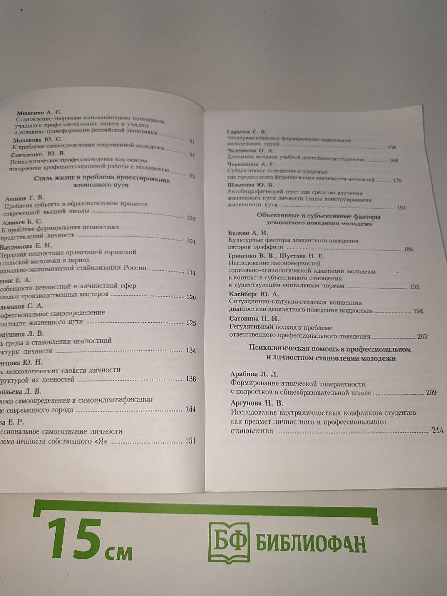 Профессиональное и личностное самоопределение молодежи в период социально-экономической стабилизации россии