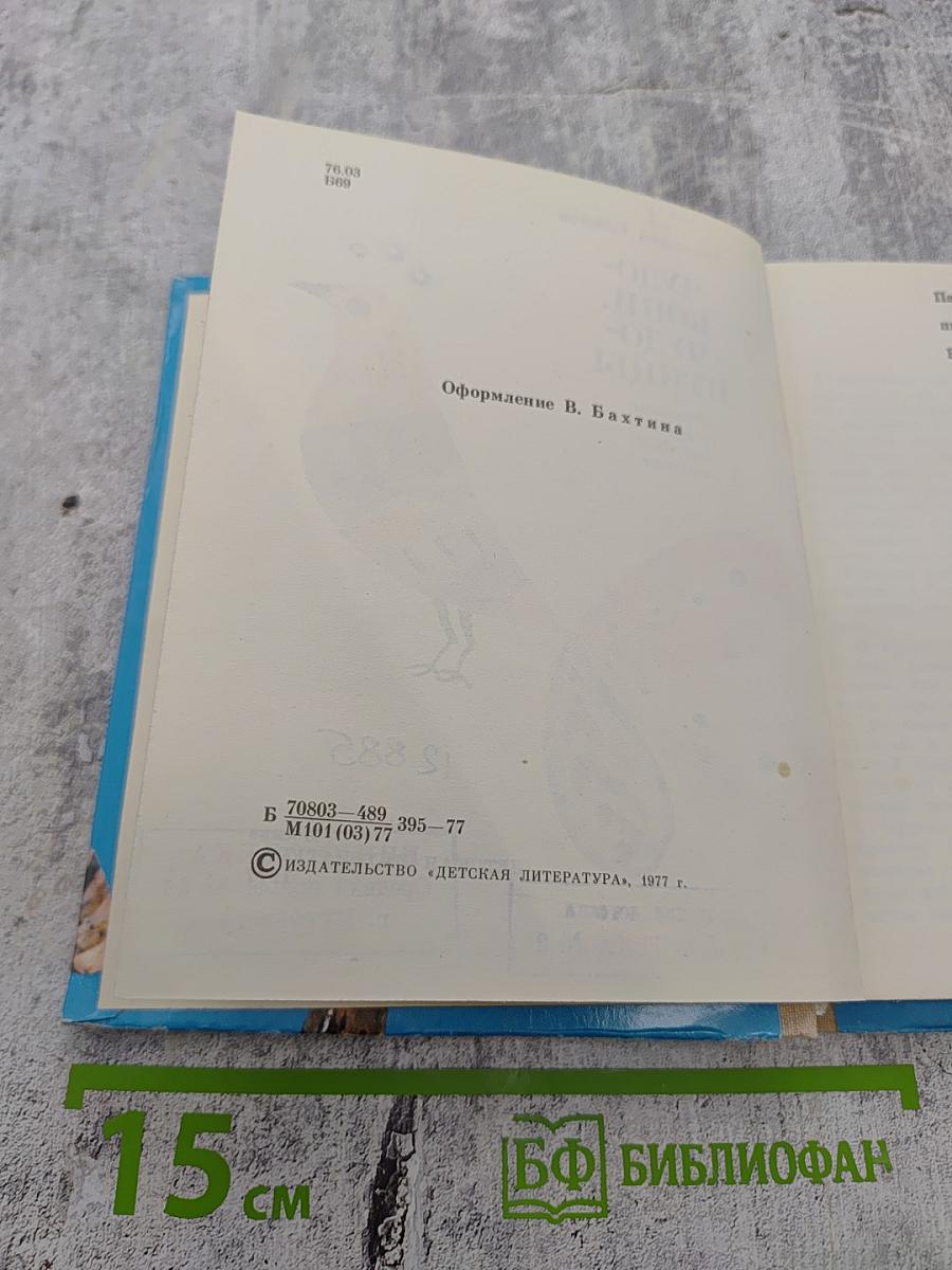 Чудо-кони, чудо-птицы