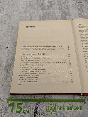 Комсорги переднего края