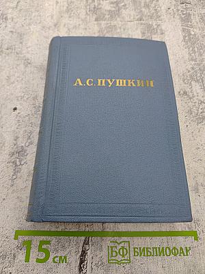 А.С. Пушкин. Полное собрание сочинений. Том восьмой. Автобиографическая и историческая проза. История Пугачева. Записки Моро де Браз