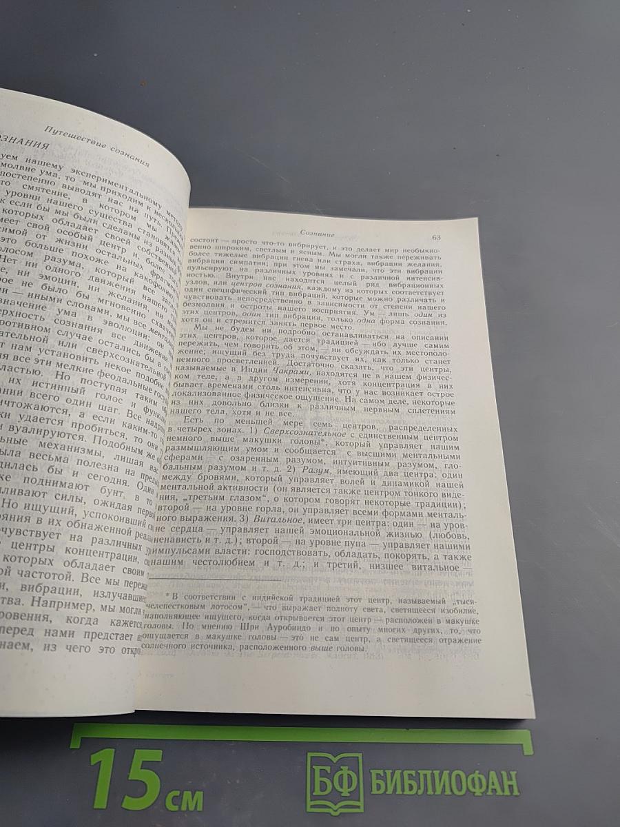 Шри Ауробиндо, или Путешествие сознания