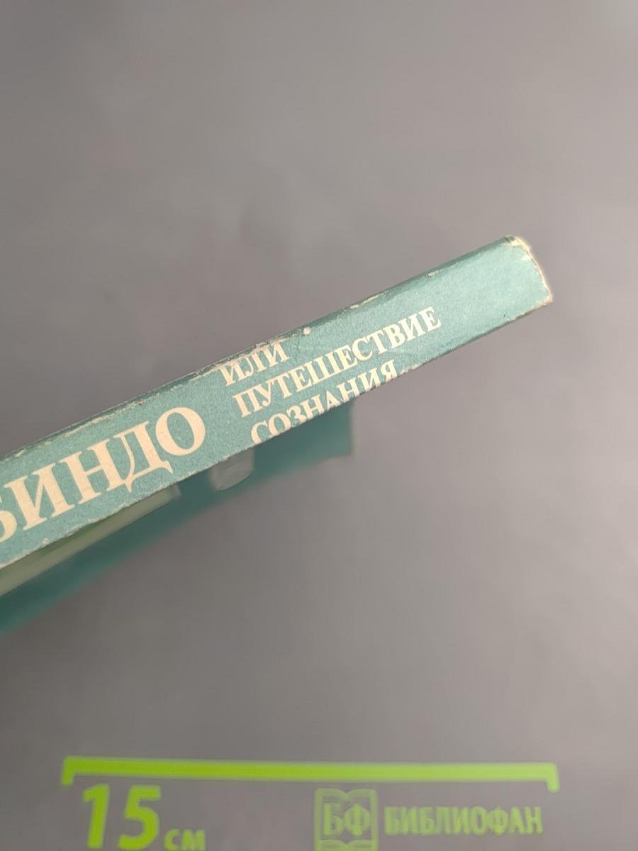 Шри Ауробиндо, или Путешествие сознания