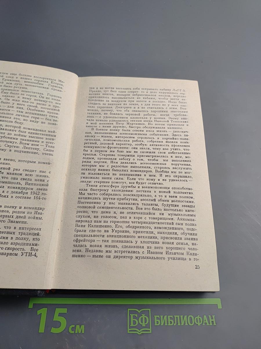 Боем живет истребитель