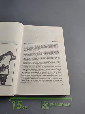 Золотая лихорадка. Книга третья