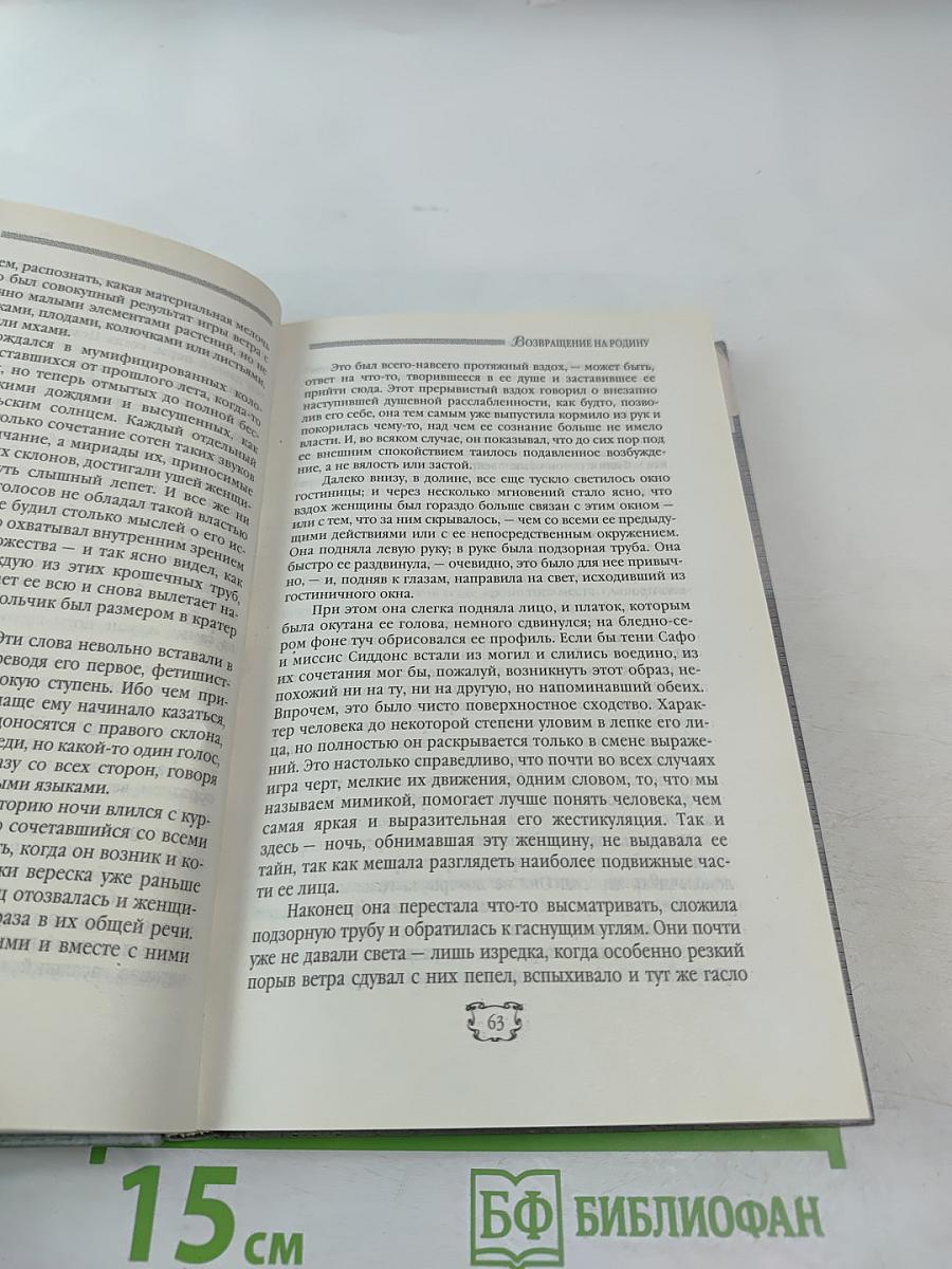 Возвращение на родину. Том 4