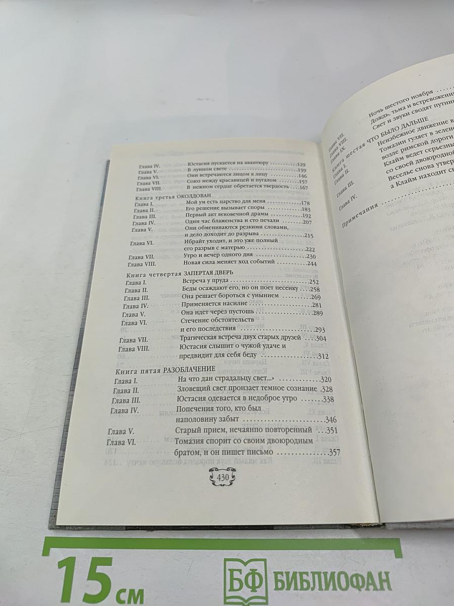 Возвращение на родину. Том 4