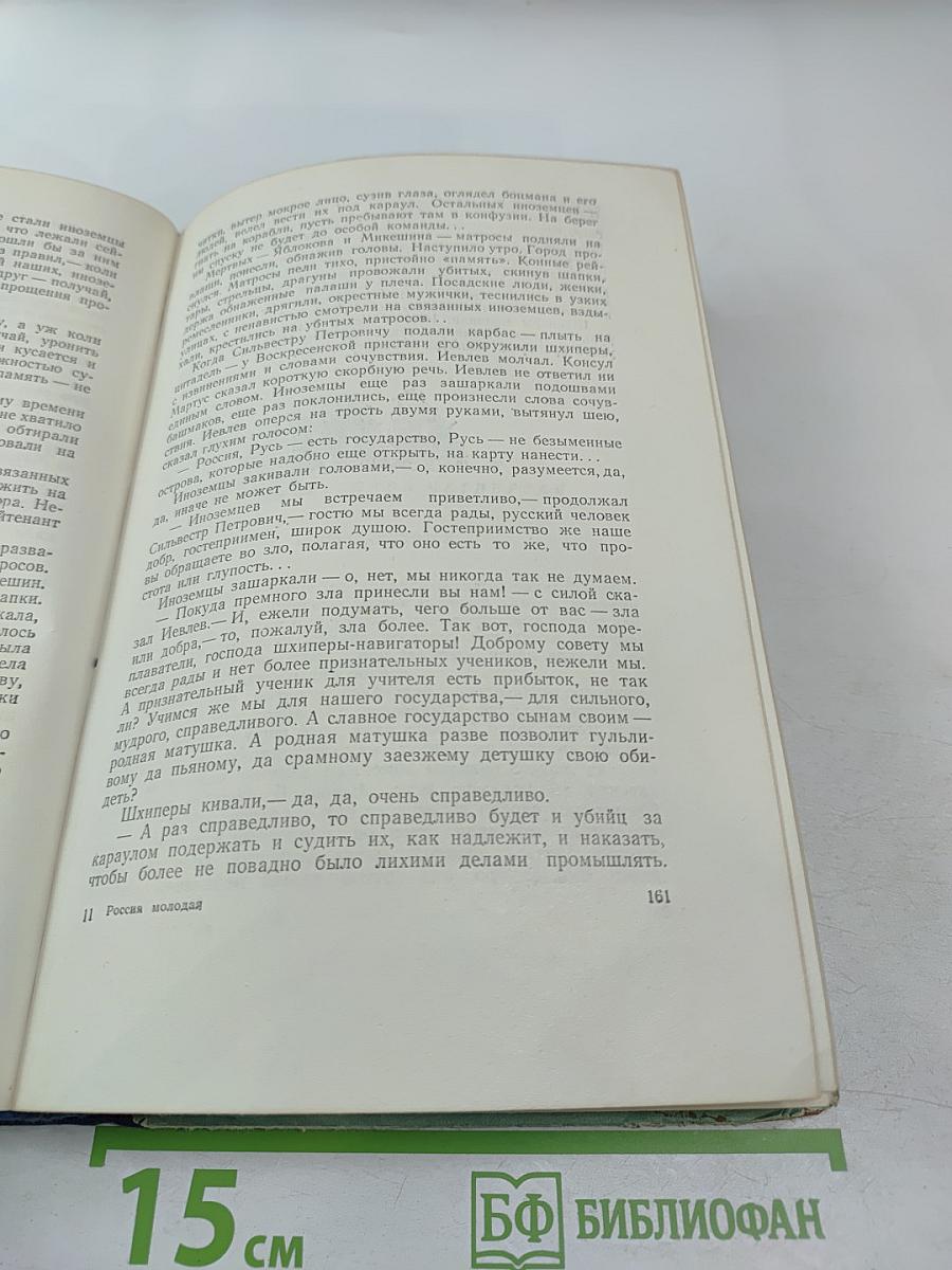 Россия молодая. Часть вторая: Нашествие