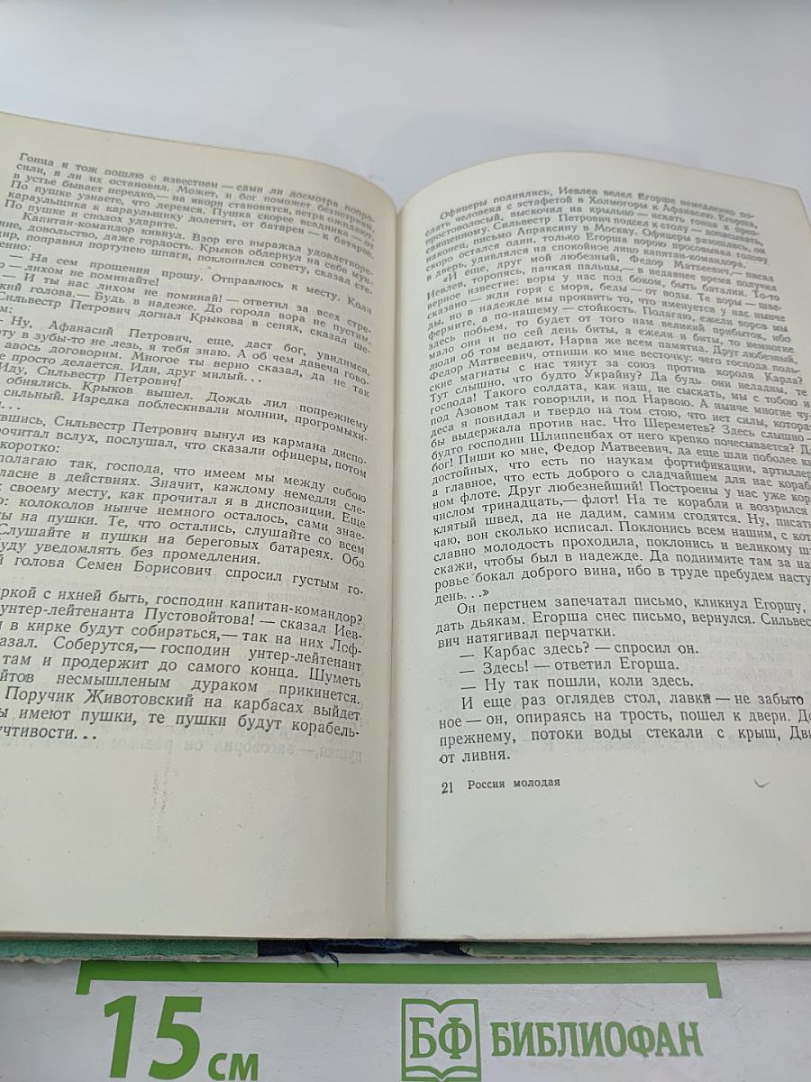 Россия молодая. Часть вторая: Нашествие