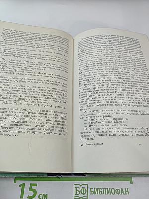 Россия молодая. Часть вторая: Нашествие