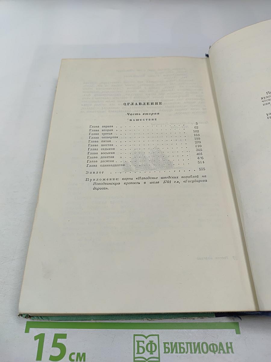 Россия молодая. Часть вторая: Нашествие