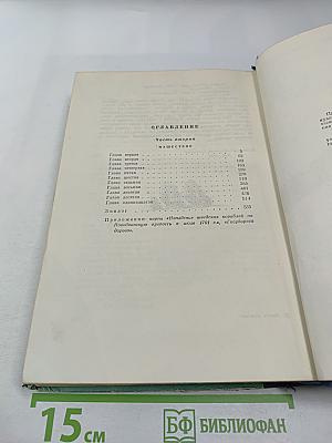 Россия молодая. Часть вторая: Нашествие