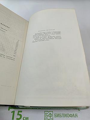Россия молодая. Часть вторая: Нашествие