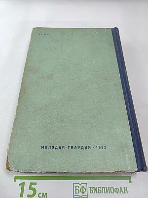 Россия молодая. Часть вторая: Нашествие