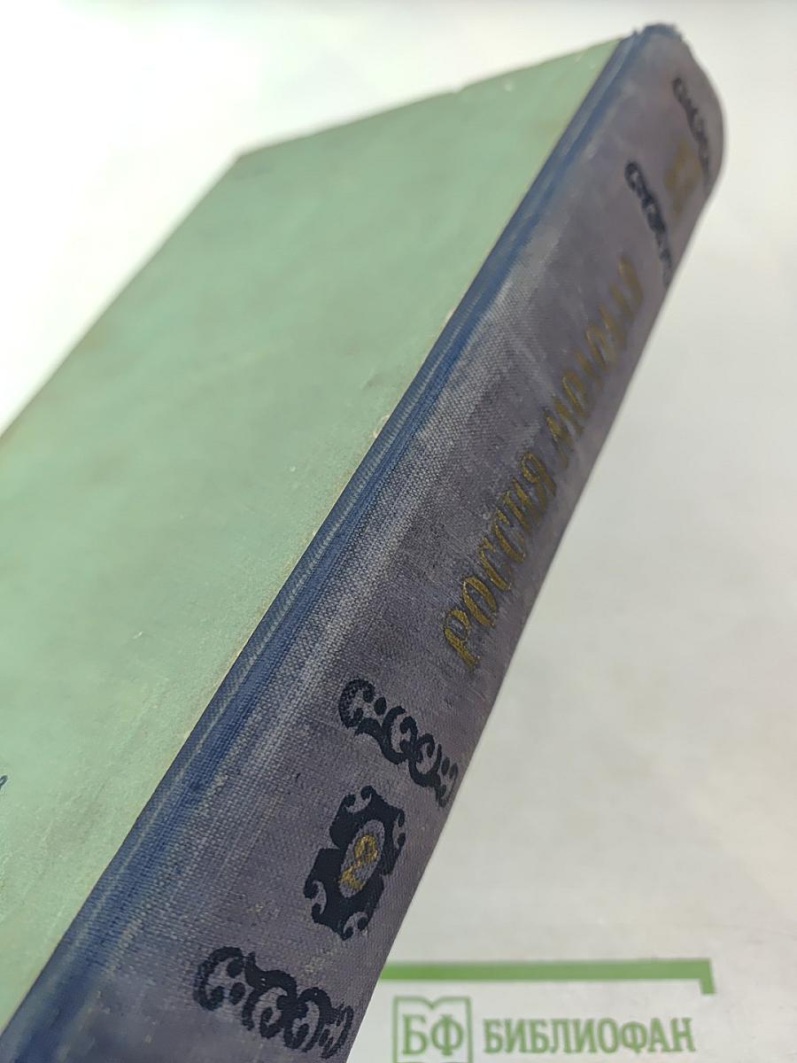 Россия молодая. Часть вторая: Нашествие
