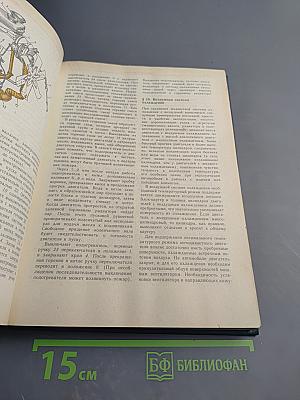 Устройство автомобиля