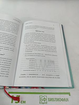 Источник энергии: Как включить скрытые резервы организма и сохранить бодрость весь день