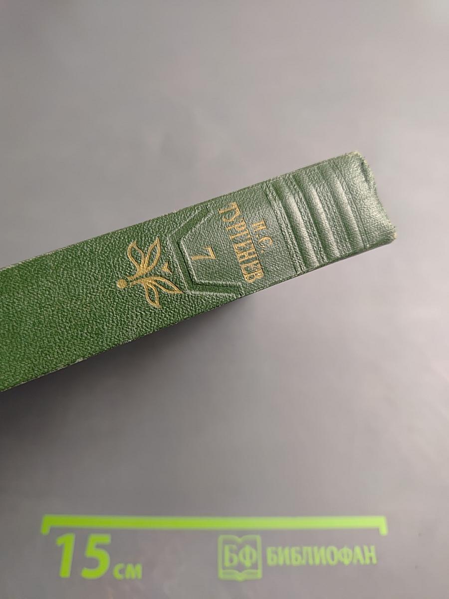 Собрание сочинений. Том седьмой. Повести и рассказы 1868-1870 годов