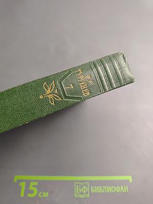 Собрание сочинений. Том седьмой. Повести и рассказы 1868-1870 годов