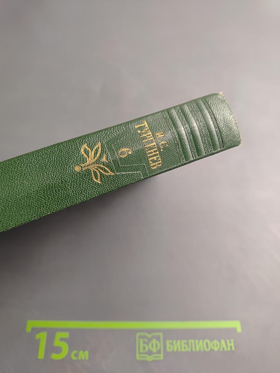 Собрание сочинений Том шестой: Повести и рассказы 1854-1860 годов