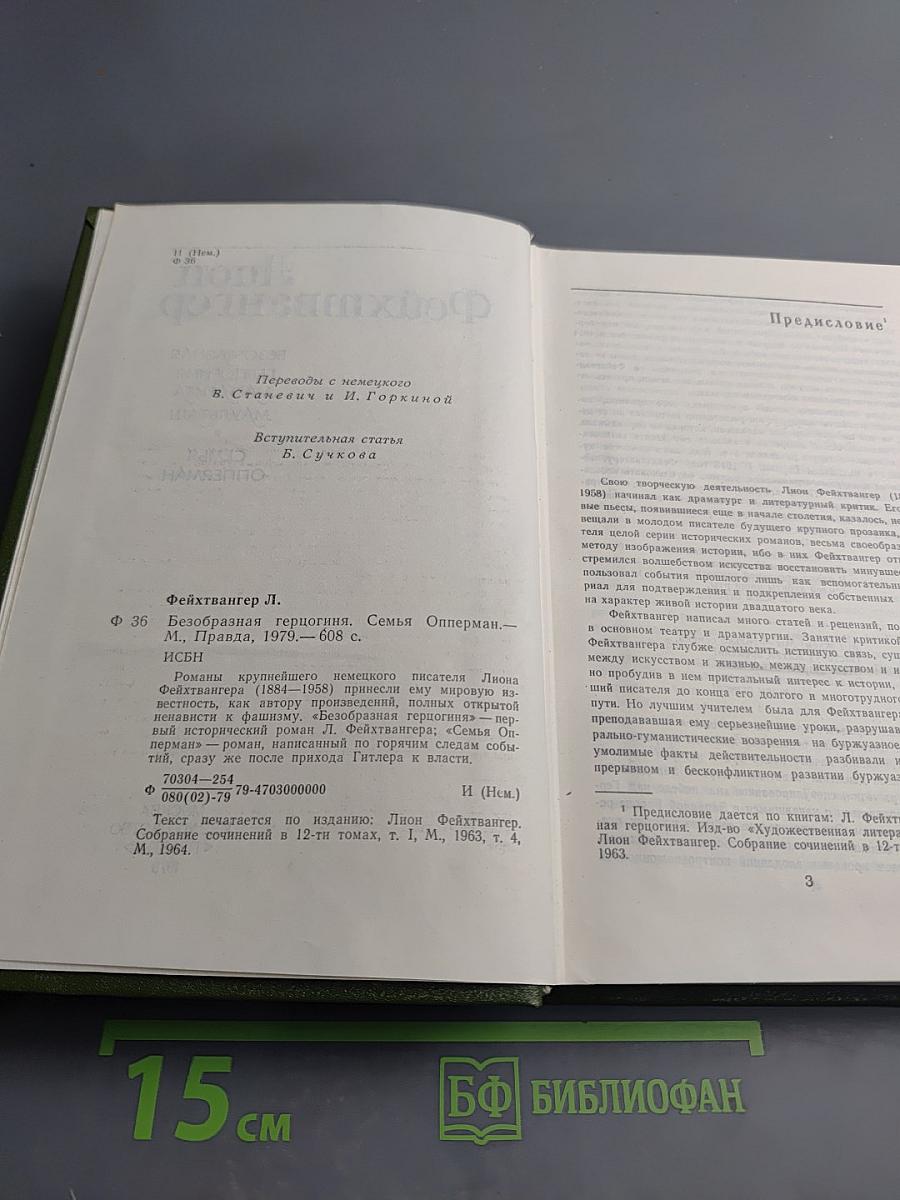 Безобразная герцогиня. Семья Опперман