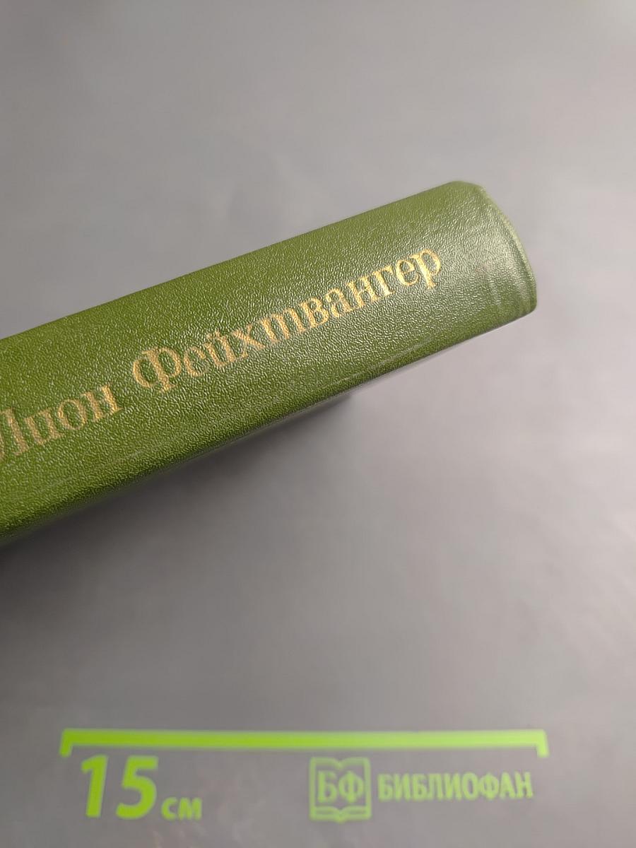 Безобразная герцогиня. Семья Опперман