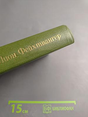 Безобразная герцогиня. Семья Опперман