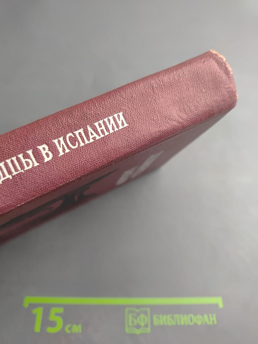 Ленинградцы в Испании