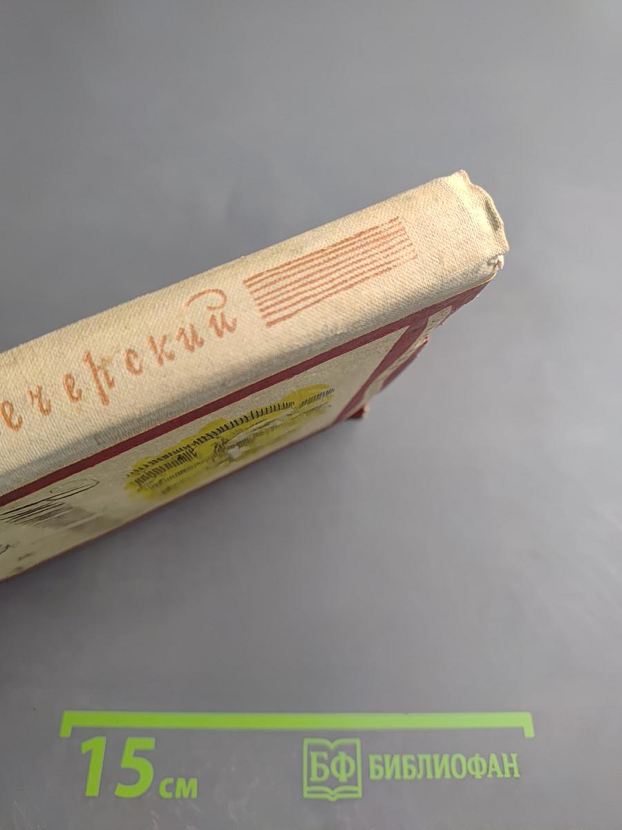 Важный разговор