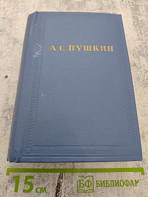 А.С. Пушкин. Том десятый. Письма