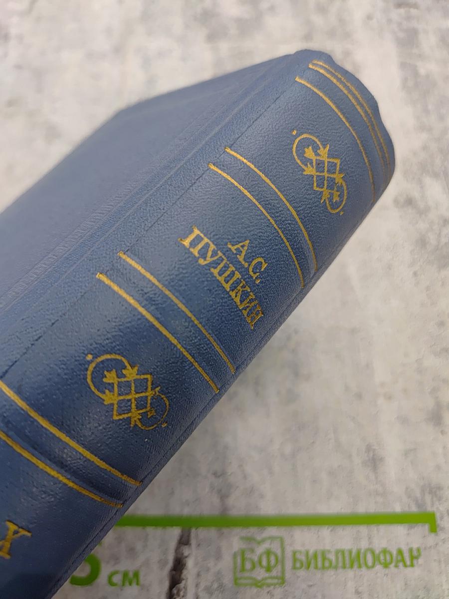 А.С. Пушкин. Том десятый. Письма