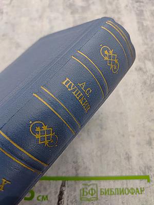 А.С. Пушкин. Том десятый. Письма