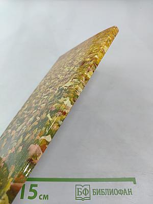 Призвание. Сборник стихов