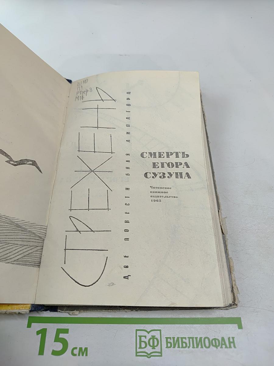 Смерть Егора Сузуна. Стрежень