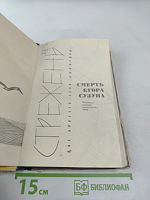 Смерть Егора Сузуна. Стрежень