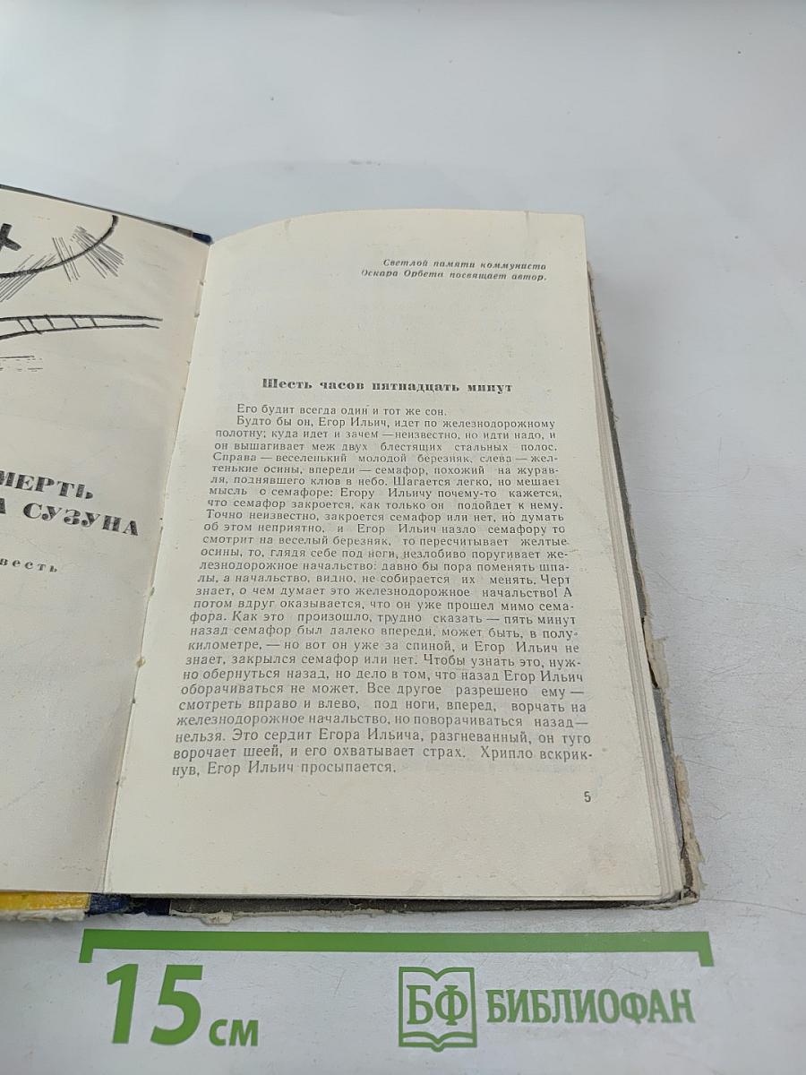 Смерть Егора Сузуна. Стрежень