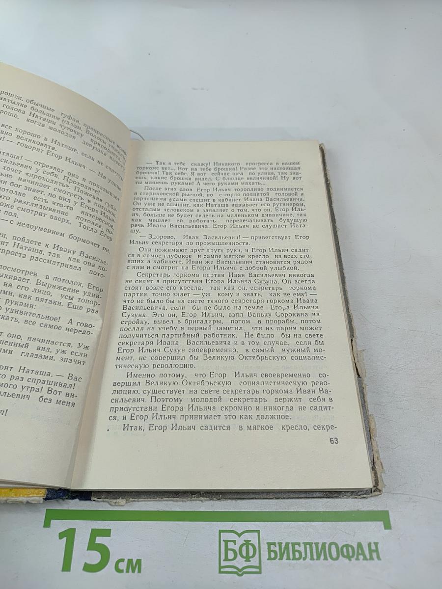 Смерть Егора Сузуна. Стрежень