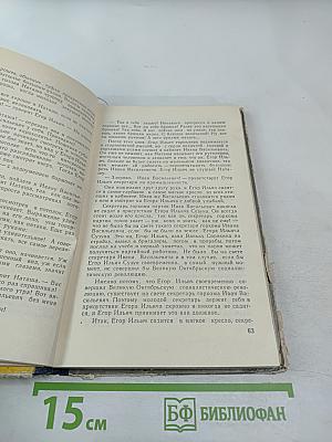 Смерть Егора Сузуна. Стрежень