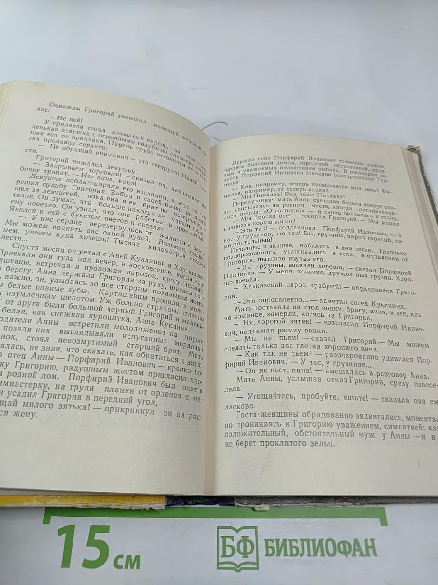 Смерть Егора Сузуна. Стрежень