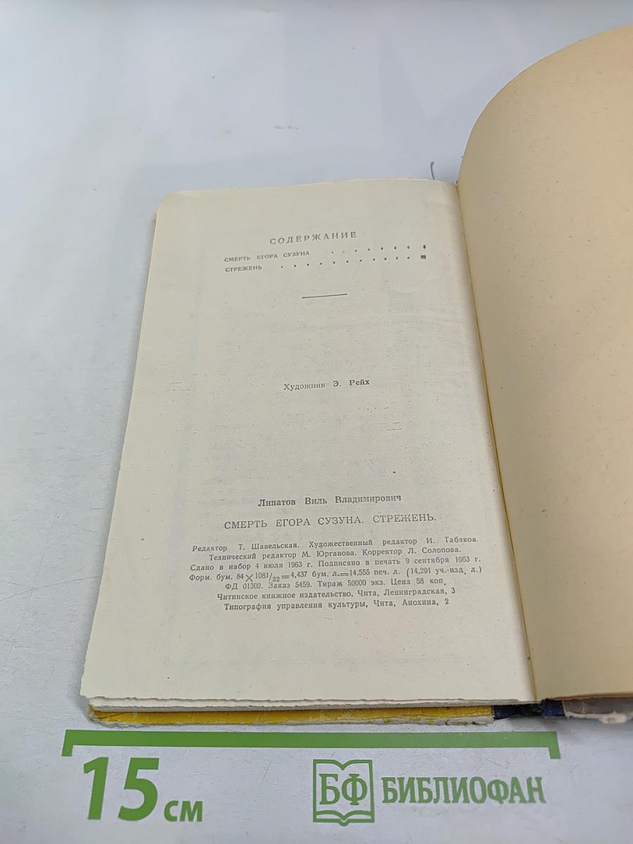 Смерть Егора Сузуна. Стрежень
