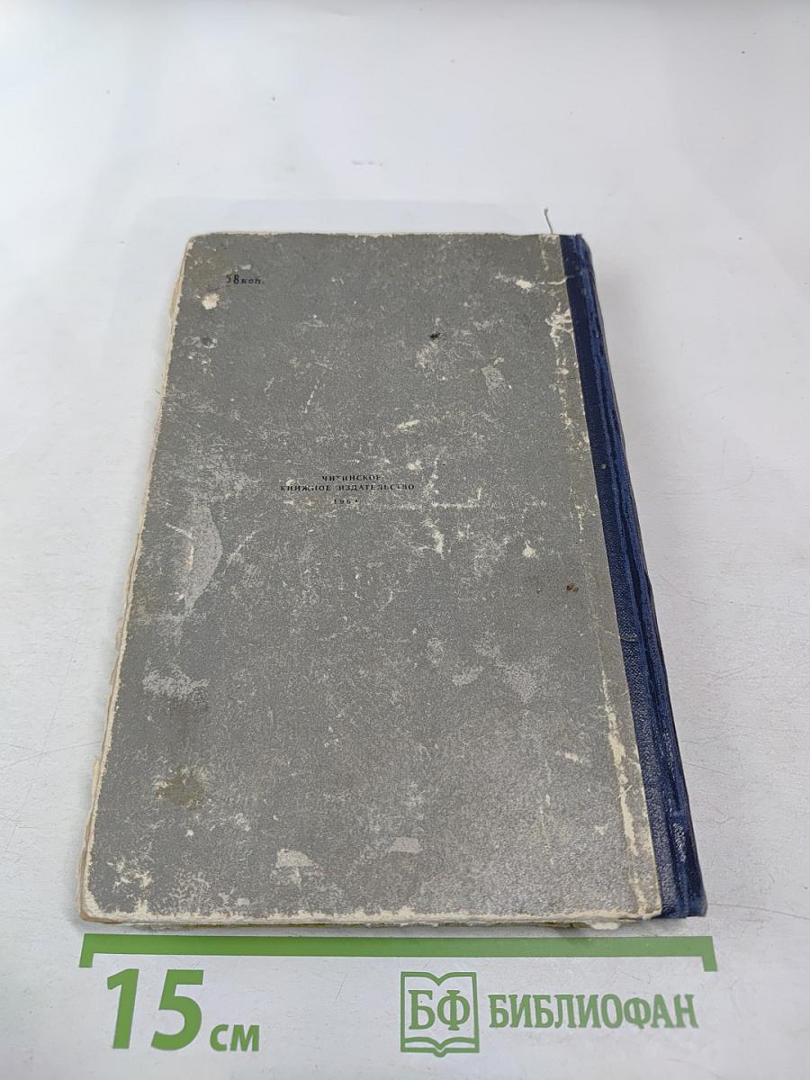 Смерть Егора Сузуна. Стрежень