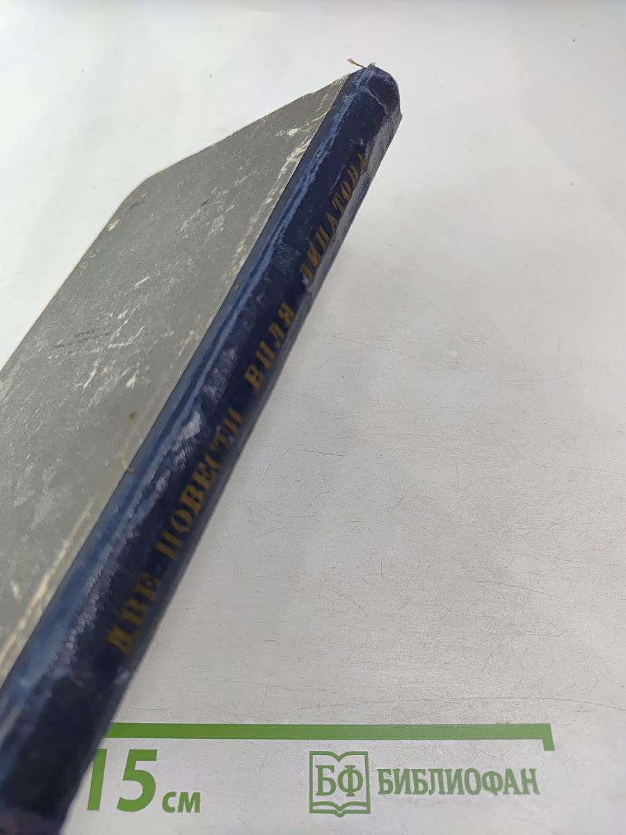 Смерть Егора Сузуна. Стрежень