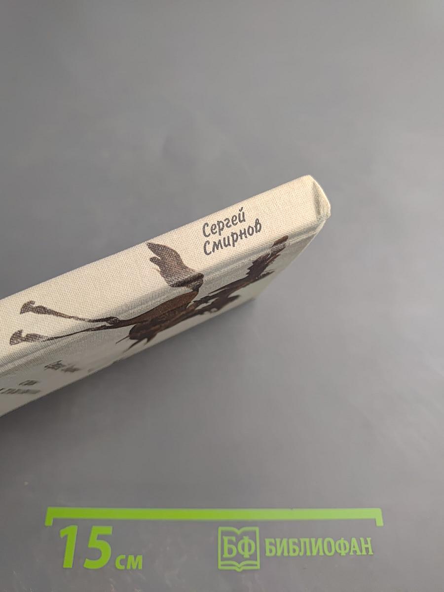 Сны над Танаисом