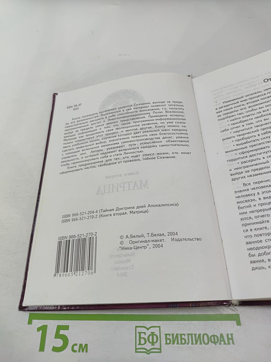 Тайная Доктрина дней Апокалипсиса. Книга вторая: Матрица