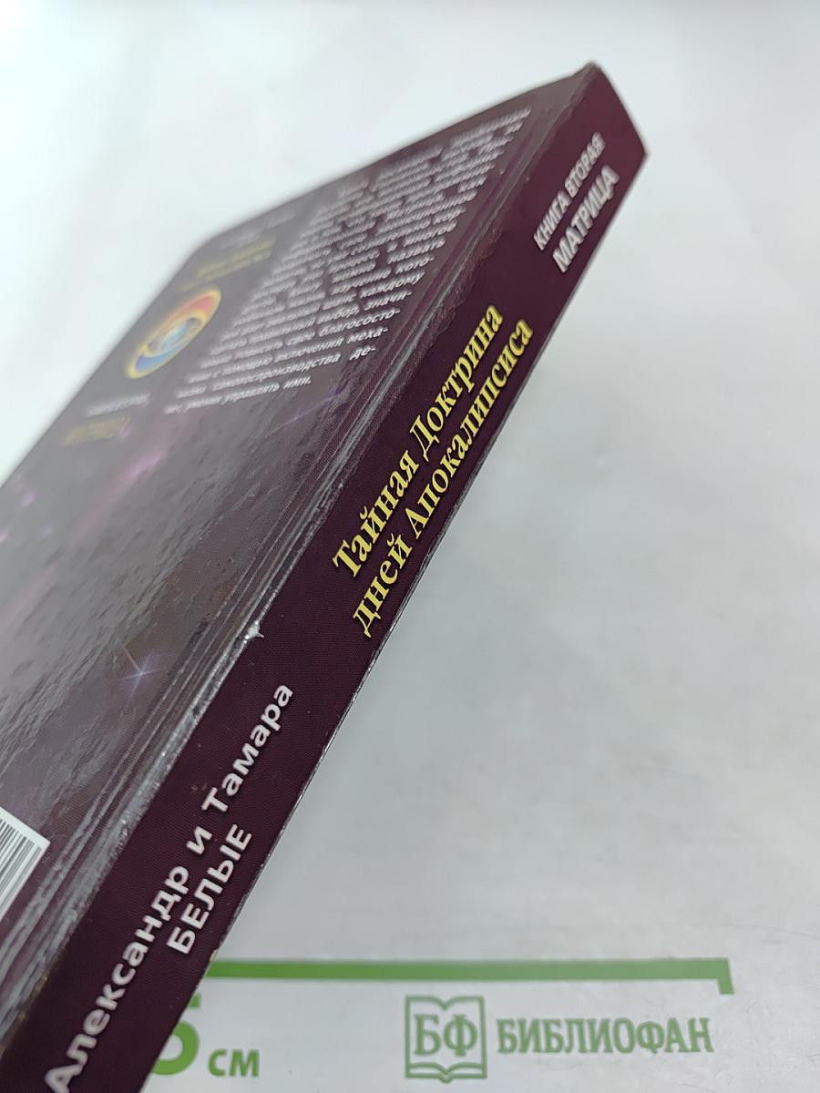 Тайная Доктрина дней Апокалипсиса. Книга вторая: Матрица