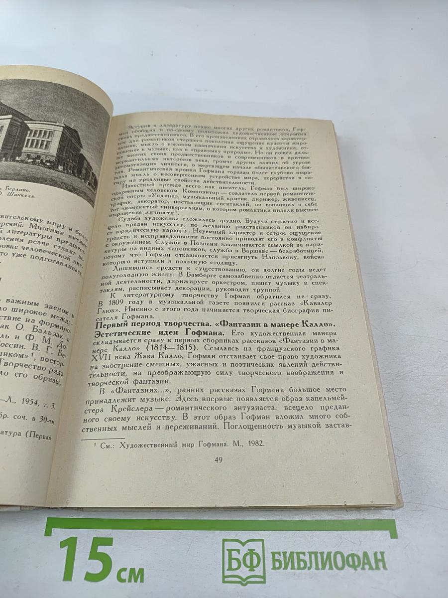 История зарубежной литературы XIX века