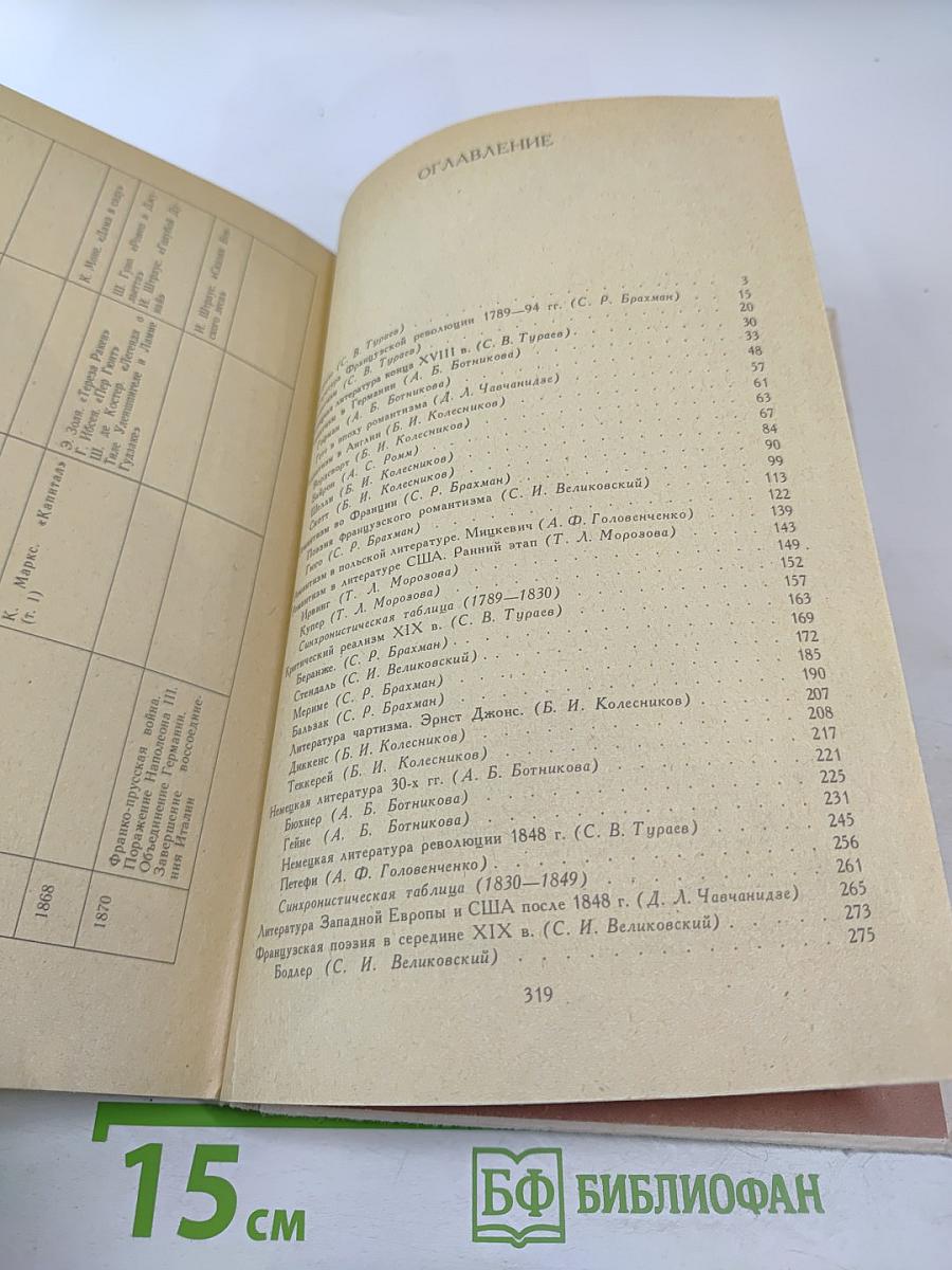 История зарубежной литературы XIX века