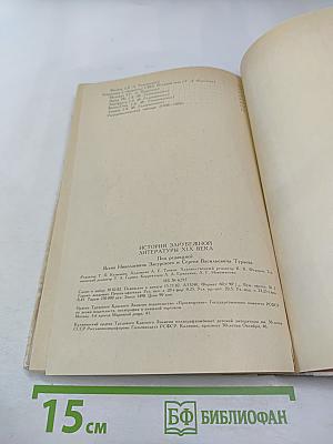 История зарубежной литературы XIX века